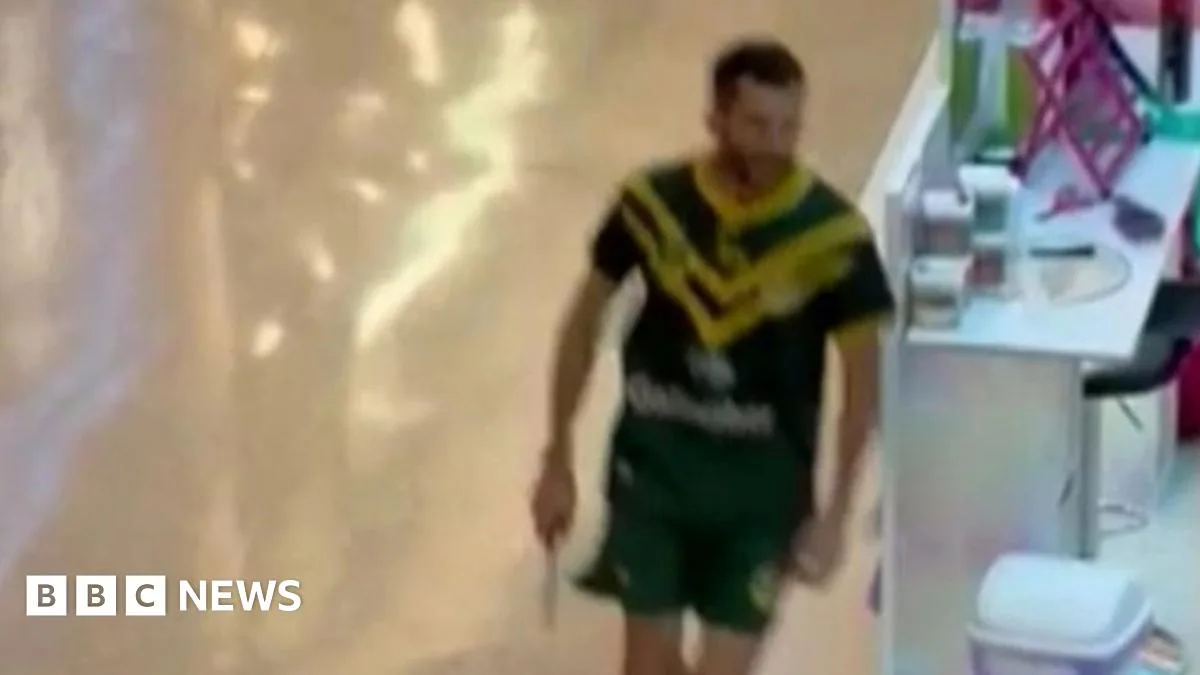 Sydney Stabbing Suspect Identified as Joel Cauchi After Bondi Mall Attack