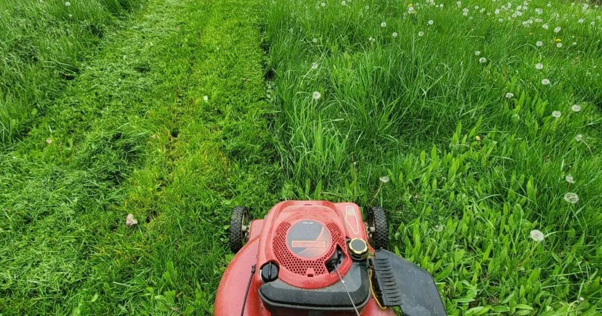 Lawn Expert Warns Against Early Mowing, Recommends March Start