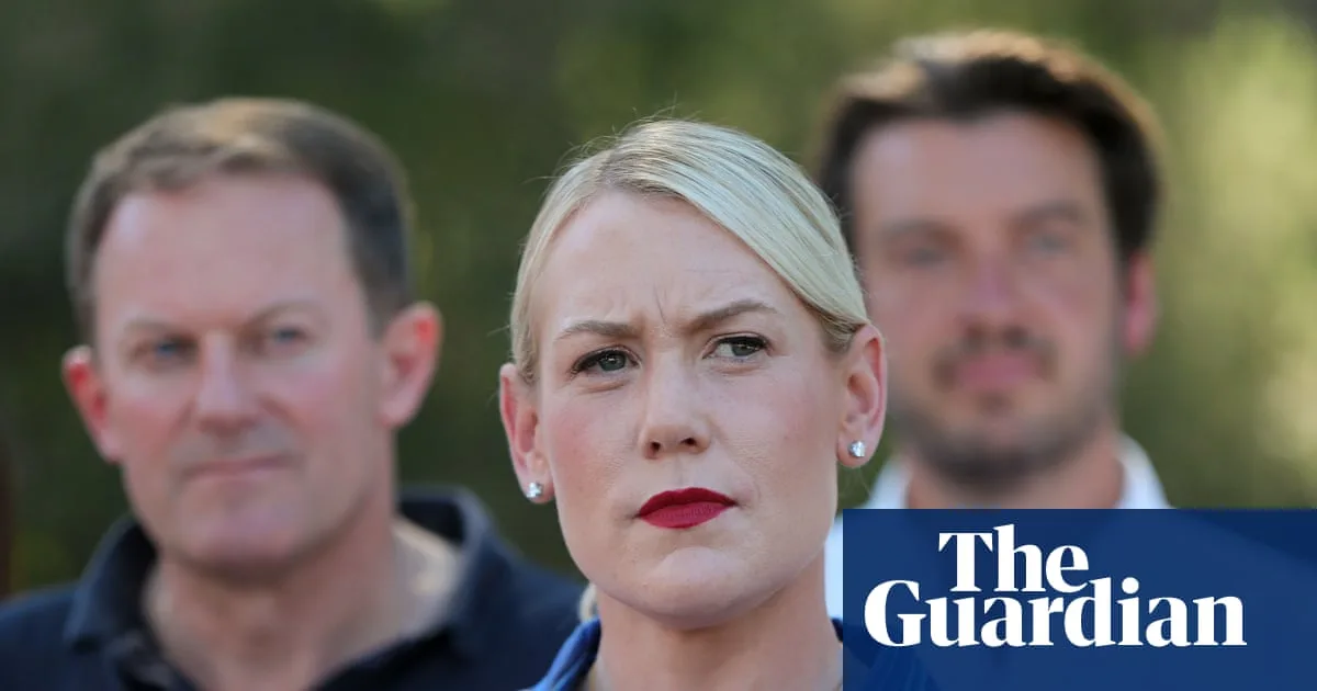 Liberal Preferences Hand Seats to One Nation in SA Election