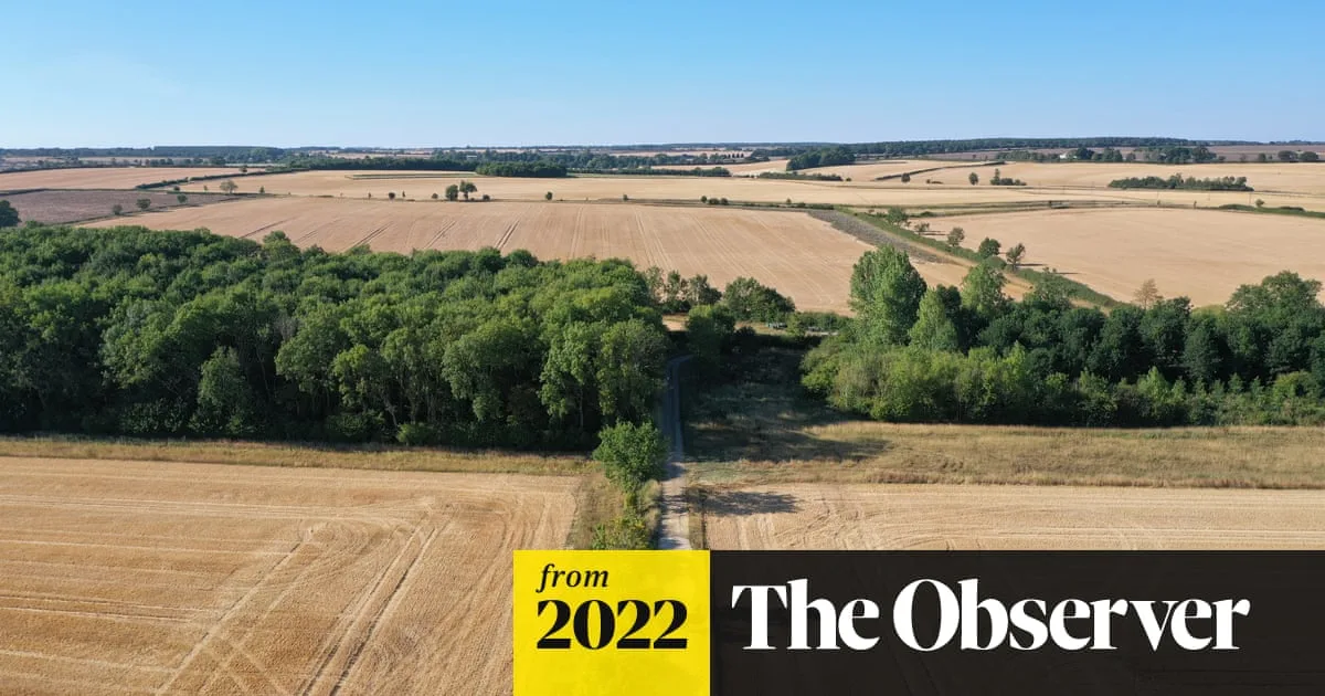 Lincolnshire's 1,700-Acre Rewilding Project Transforms Farmland