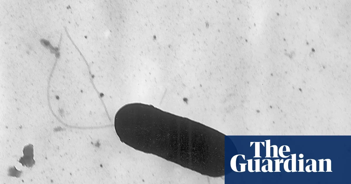 Listeria Outbreak in Pasta Meals Linked to Six Deaths Across 18 US States