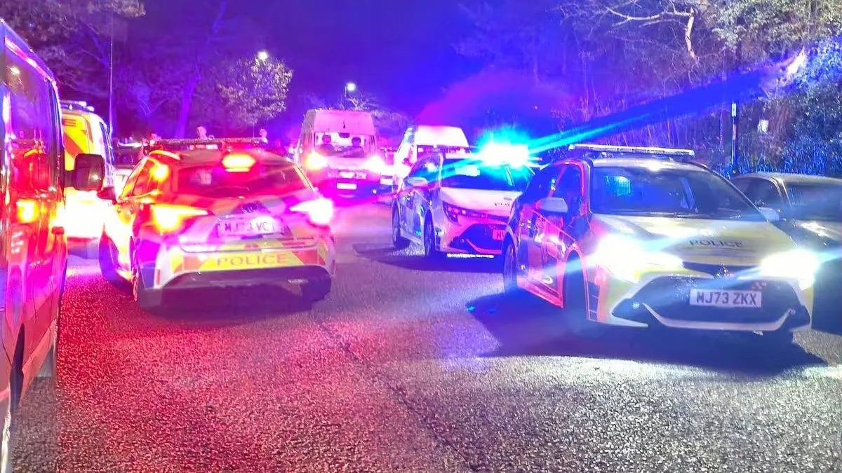 Liverpool Park Event Halted After Two Men Injured