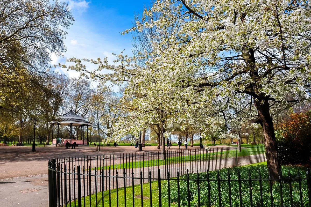 Top Family-Friendly Hotels in London, According to a Local Expert