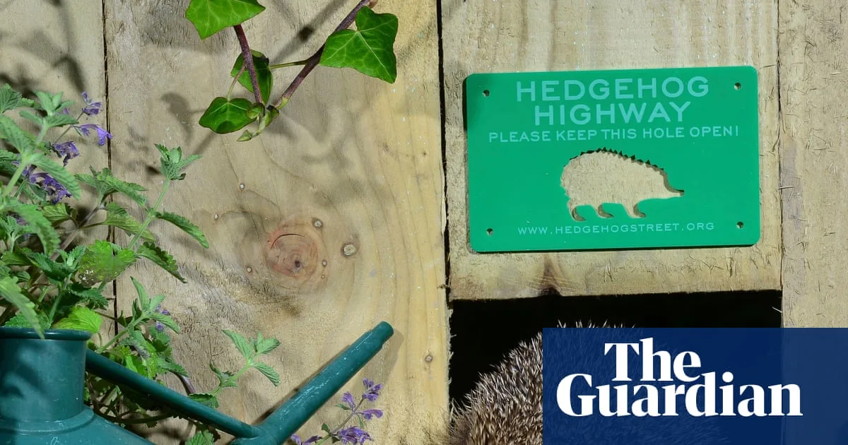 Lords Back Law For Mandatory Hedgehog Highways In New Builds