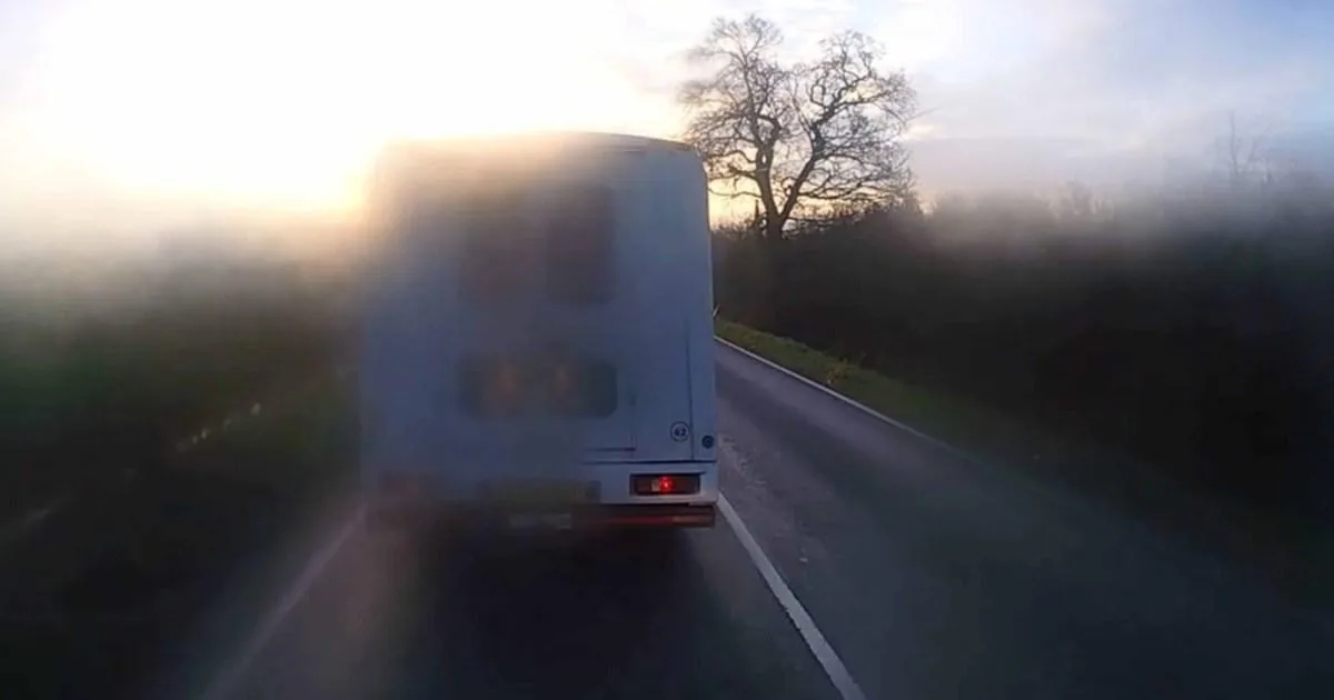 Lorry Driver Banned After Crash with Glued Load in Flintshire