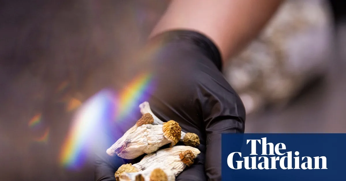 Magic Mushrooms Could Treat Cocaine Addiction, Study Finds