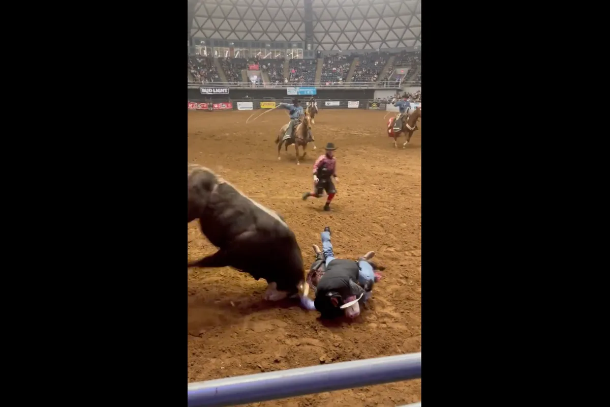 Father Leaps to Protect Son from Charging Bull at Texas Rodeo