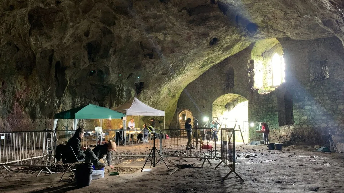 Major Dig At Welsh Cave Once Home To Ancient Hippos