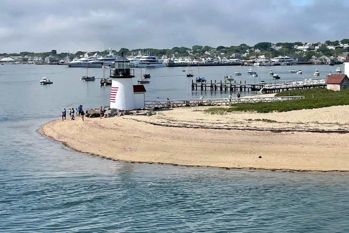 Nantucket Man Sued for Cutting Down Neighbour's Trees to Improve Ocean View
