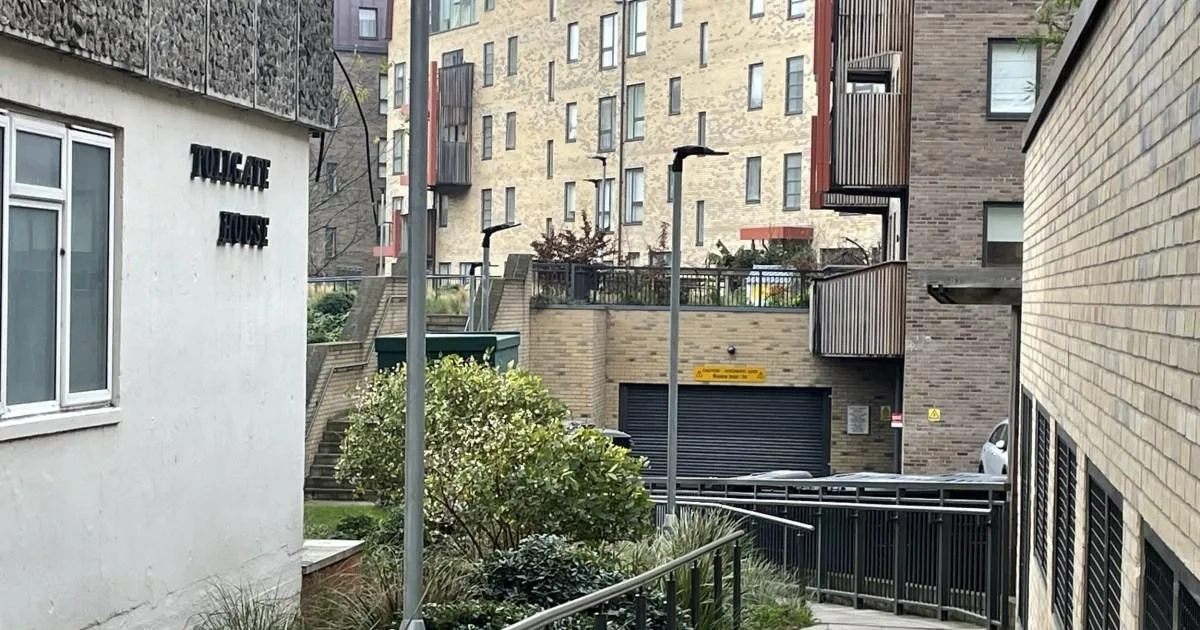 Man Fatally Stabbed in Maida Vale Flat, Murder Probe Launched