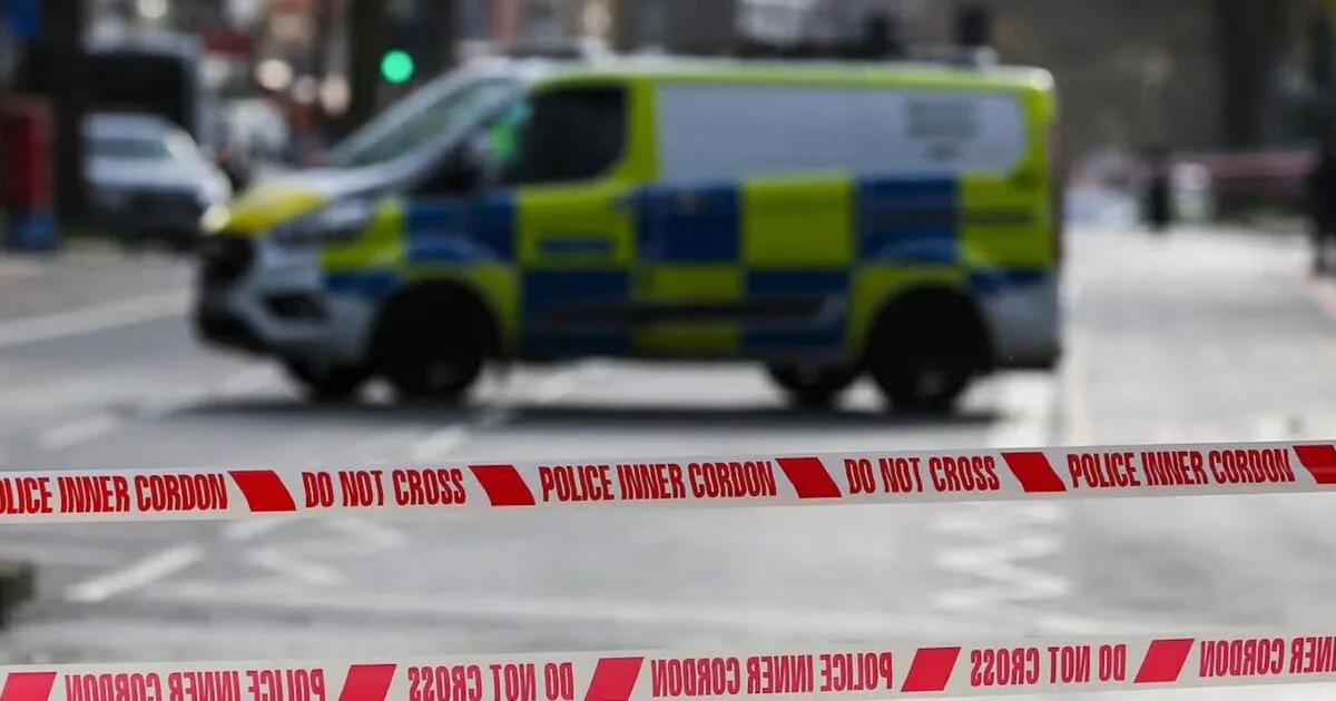 Man in His 70s Dies After Lorry Crash on Clapham High Street