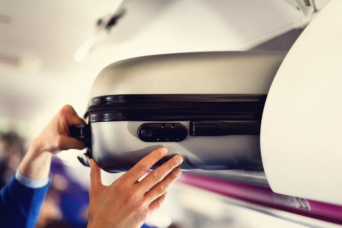 Man Jailed for Stealing Bag on Singapore Airlines Flight