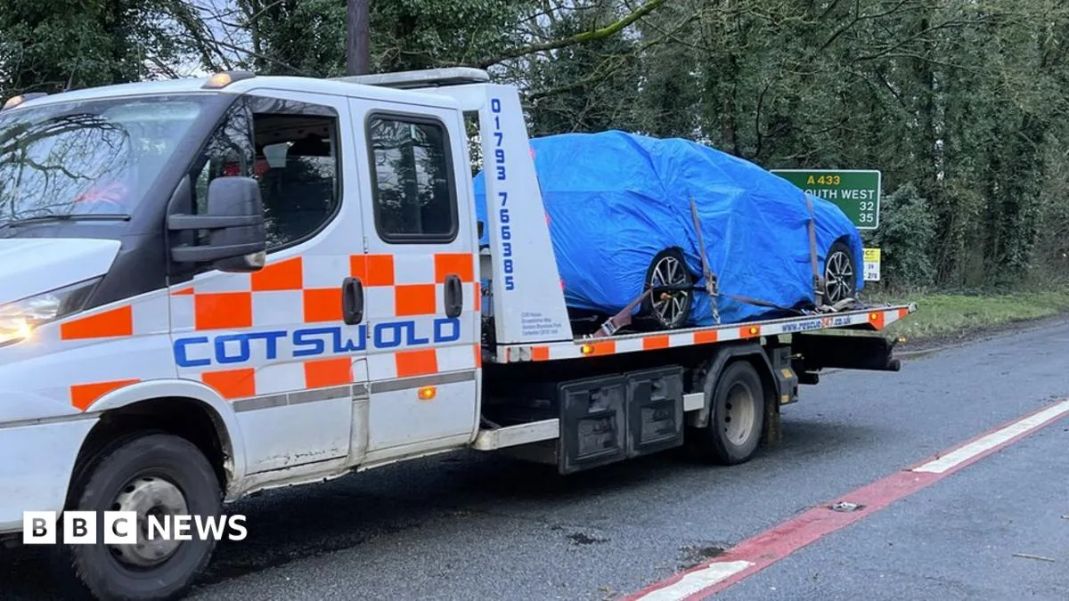 Man Killed by Falling Tree During Storm Henk