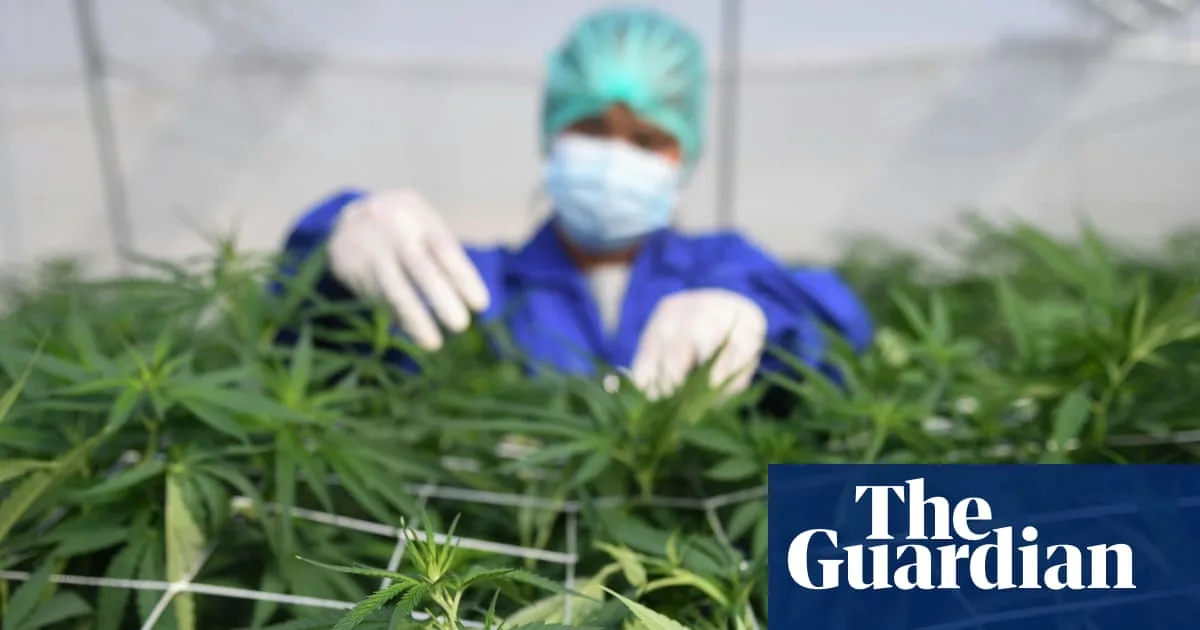 Medicinal Cannabis Ineffective for Anxiety and Depression, Review Finds