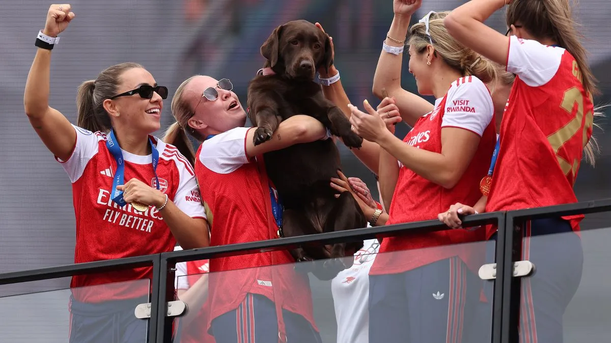 England Lionesses' Furry Fans Steal the Show at Women's Euros 2025