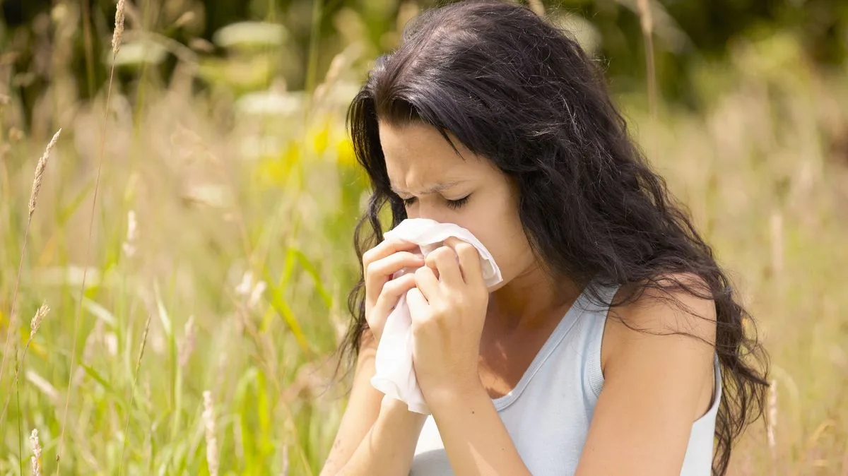 Met Office Issues Hay Fever Alert as 22C Heatwave Looms