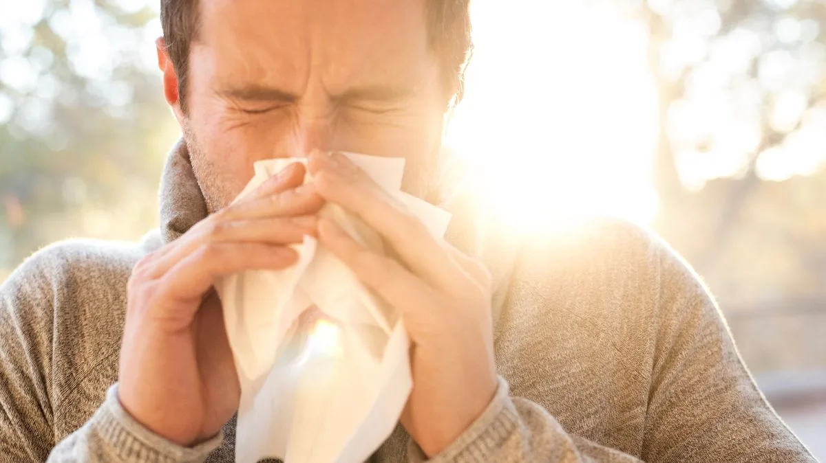 Met Office Issues Red Alert as Pollen Bomb Hits UK with Very High Counts