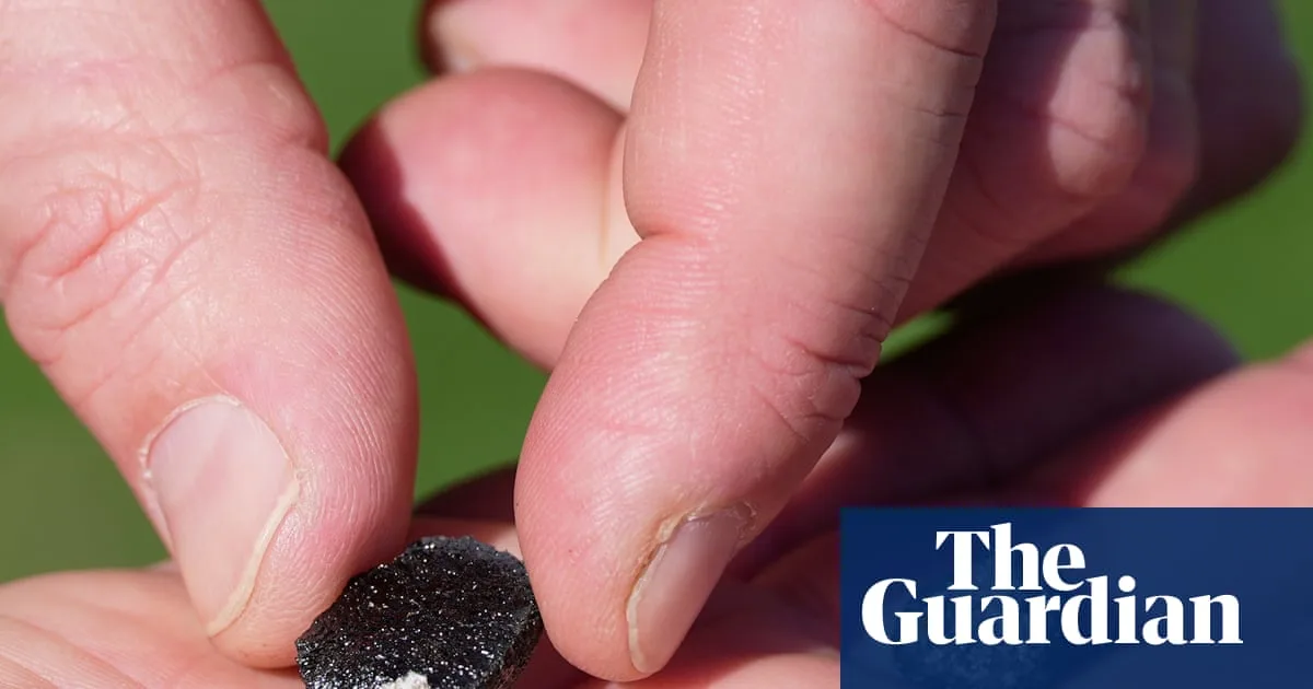 Meteorite Crashes Through Houston Home, Nasa Confirms