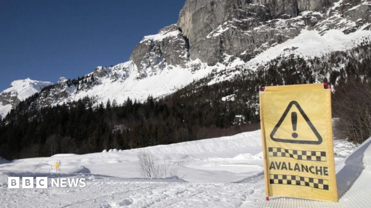 Boy Rescued After 40 Minutes Buried Under Avalanche in French Alps
