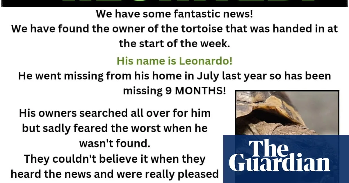 Missing Tortoise Found 300 Metres Away After 8 Months