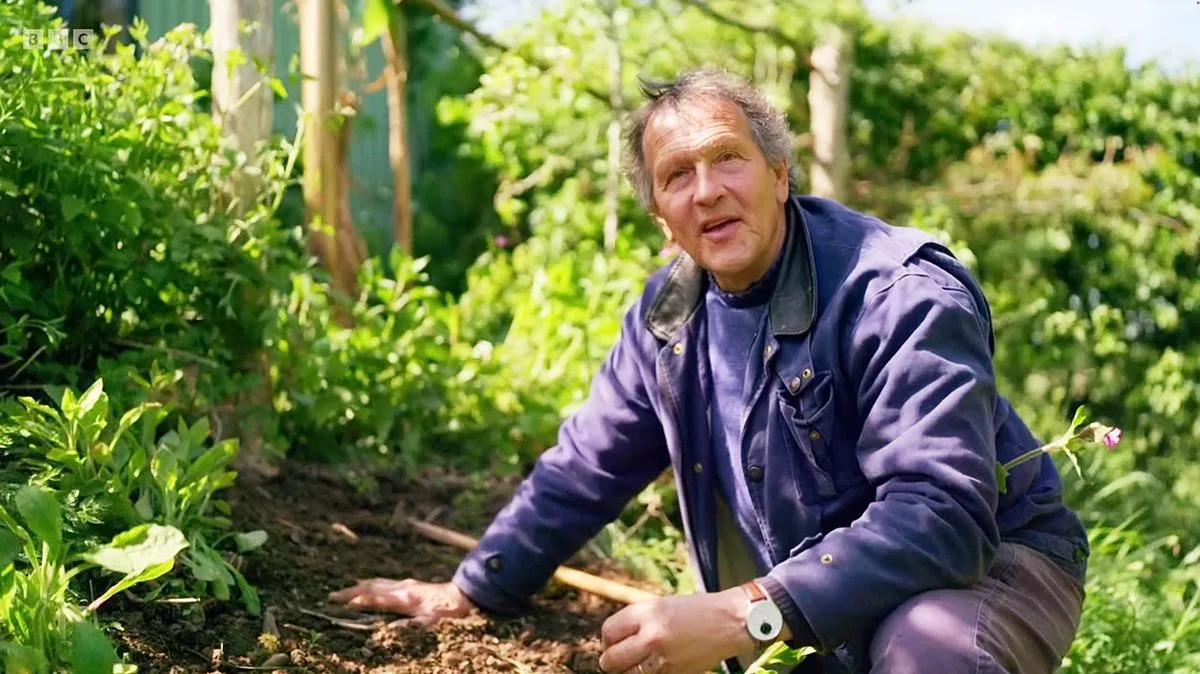 Monty Don's Summer Pruning Tip to Prevent Leggy Lavender