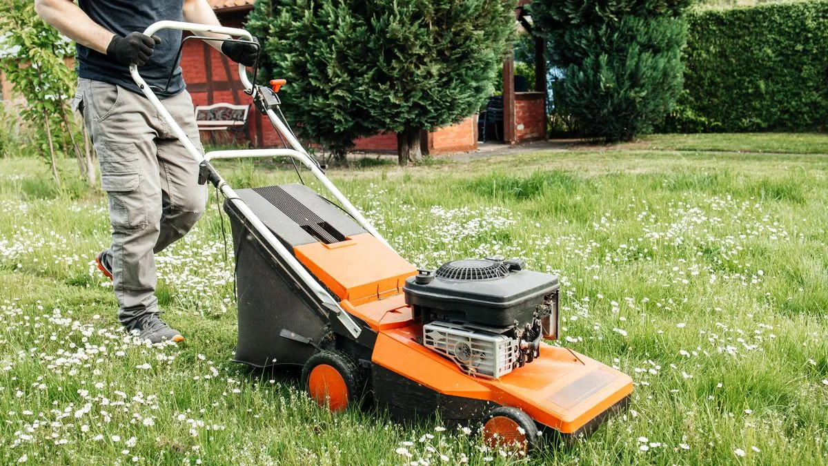 Monty Don shares March lawn care task to make grass thicker and 'healthier' than ever