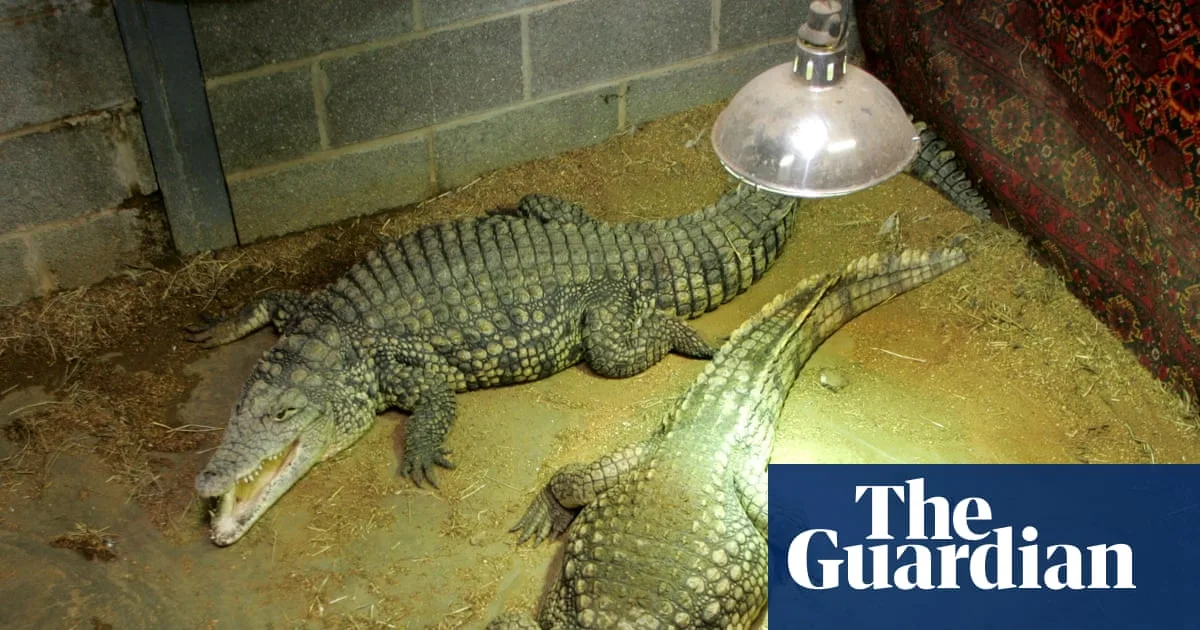 Man Arrested After Boy, 3, Injured in Cambridgeshire Zoo Crocodile Enclosure