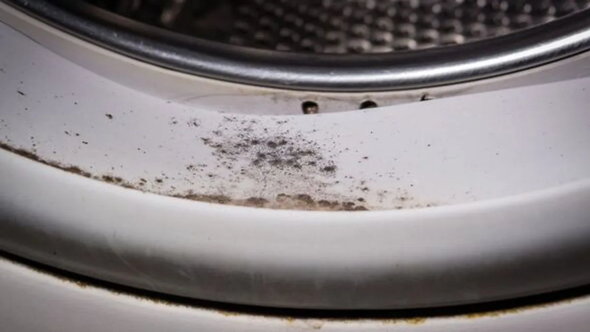Mrs Hinch Fans Hail 65p Vinegar Washing Machine Mould Trick