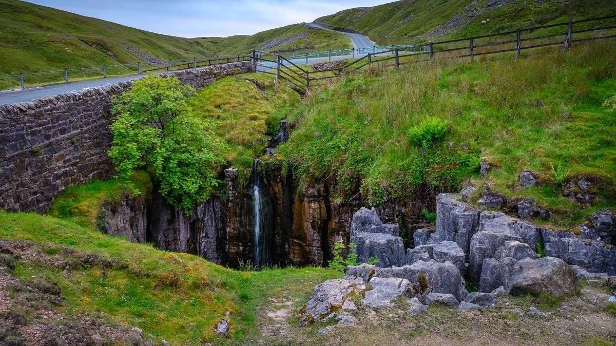 Muker's Wildflower Meadows: A Yorkshire Dales Gem Bursting with Colour