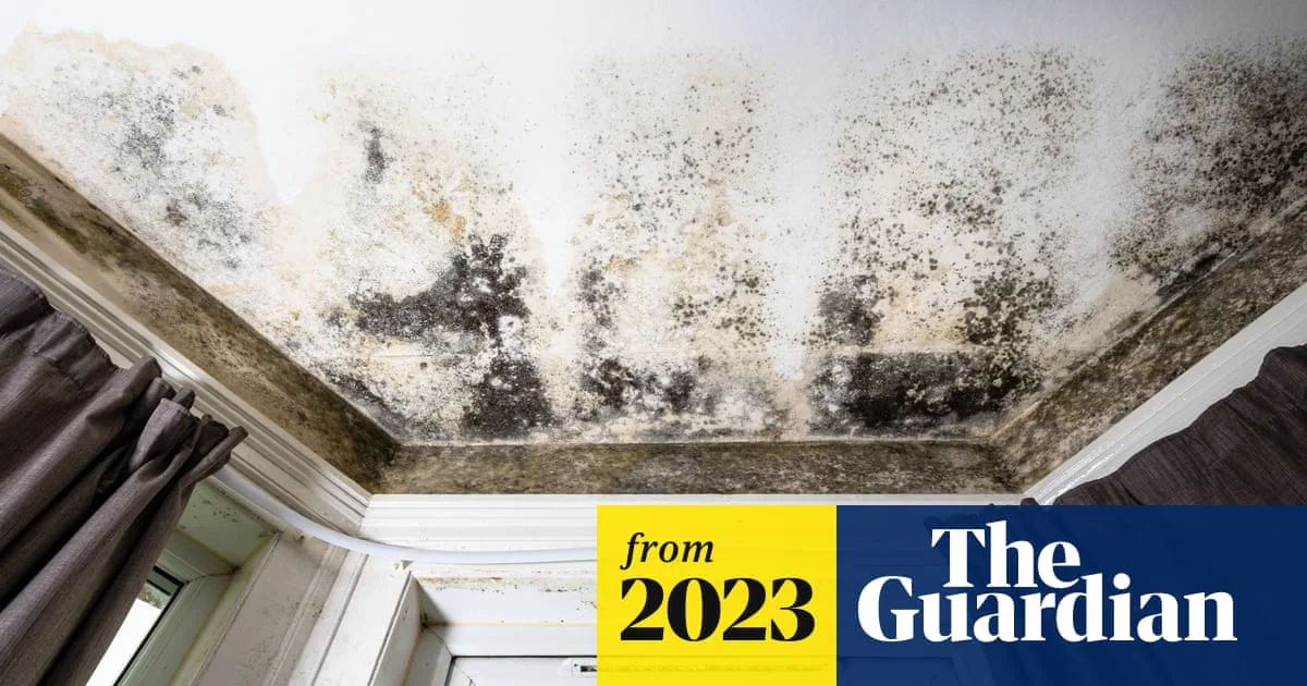 Damp and Mould in UK Homes: Health Risks and Who Is Most Affected