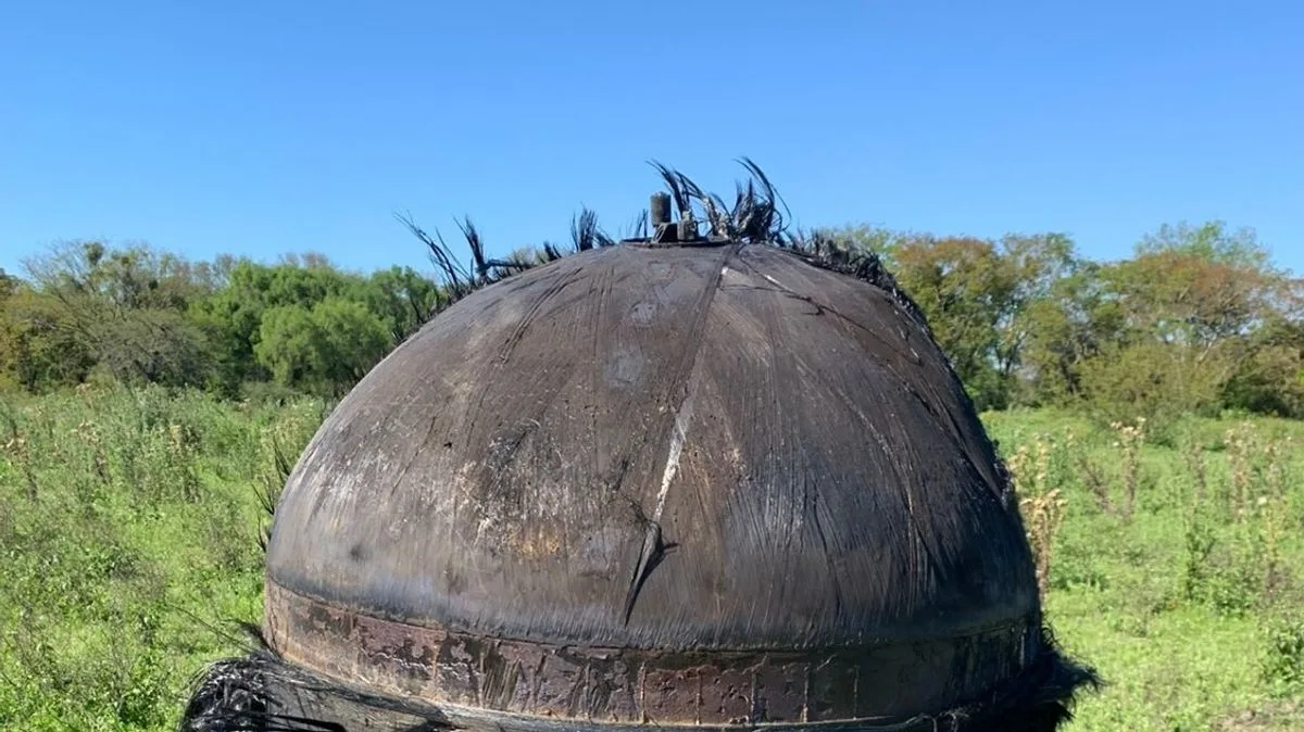Mysterious Hairy Object Falls From Sky in Argentina