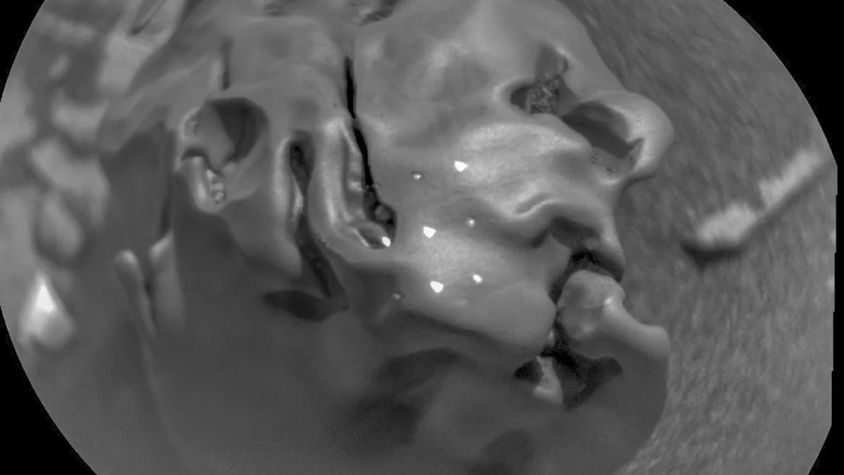 NASA's Curiosity Rover Discovers Metallic 'Egg Rock' Meteorite on Mars