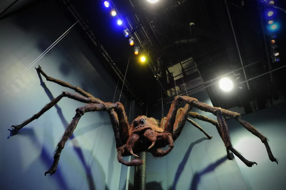 Natural Spider Repellents: Three Ingredients to Keep Them Away