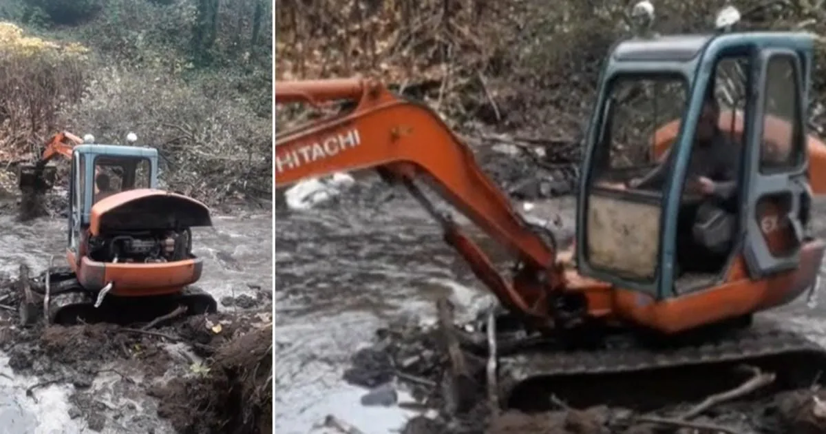 Neighbour's Digger Rampage Destroys Protected Riverbank