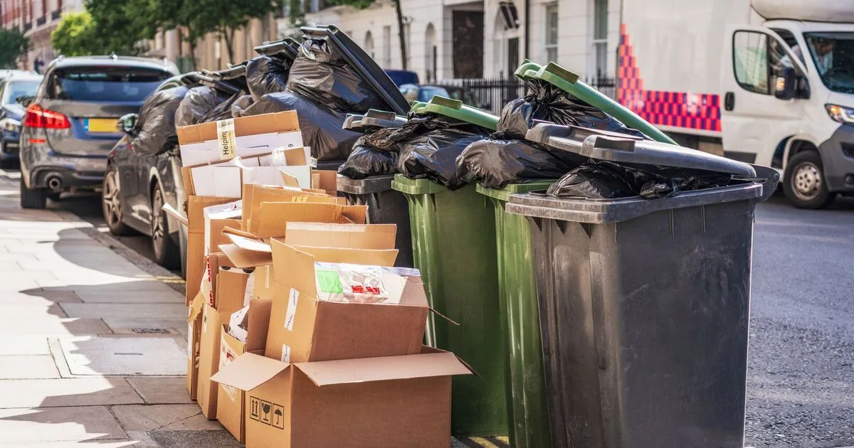Neighbour's 'Disgusting' Bin Habit Sparks Street Row