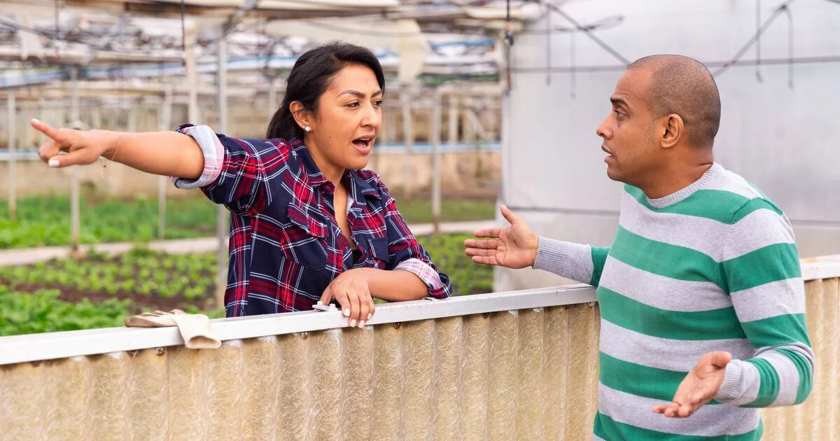 Woman Fumes as Neighbours' Children Turn Garden into Playground