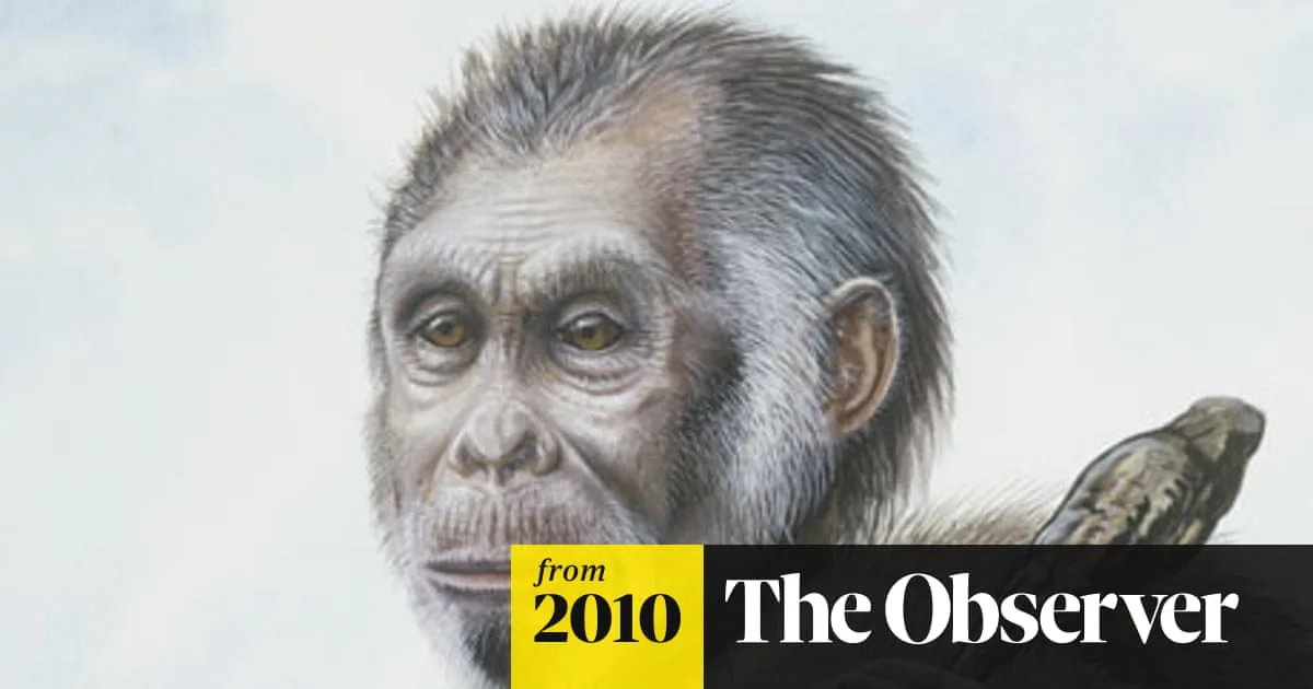 New Clues About Origins of Hobbit Humans
