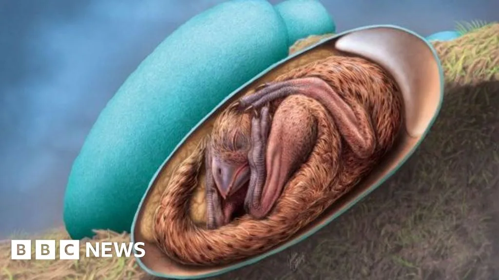 Perfectly Preserved Dinosaur Embryo Found in China Bridges Evolution Gap