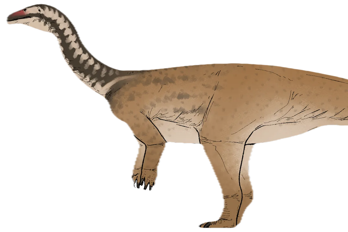 New dinosaur species discovered in China bridges evolutionary gap for giant plant-eaters