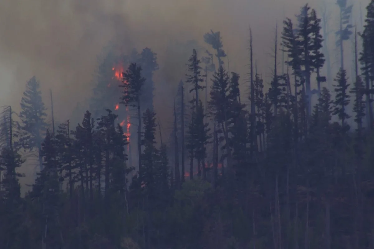 New Mexico Wildfire from Medical Plane Crash Spreads Rapidly
