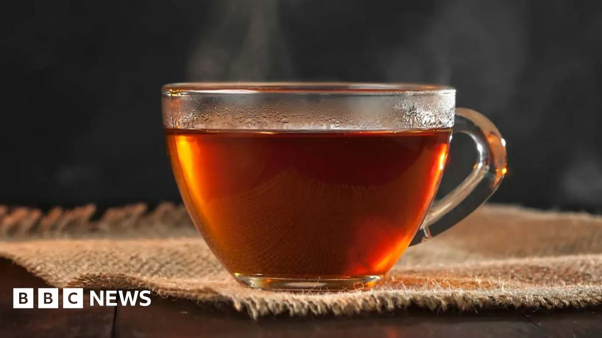Plastic Tea Bags Release Billions of Microplastics into Brew, Study Finds