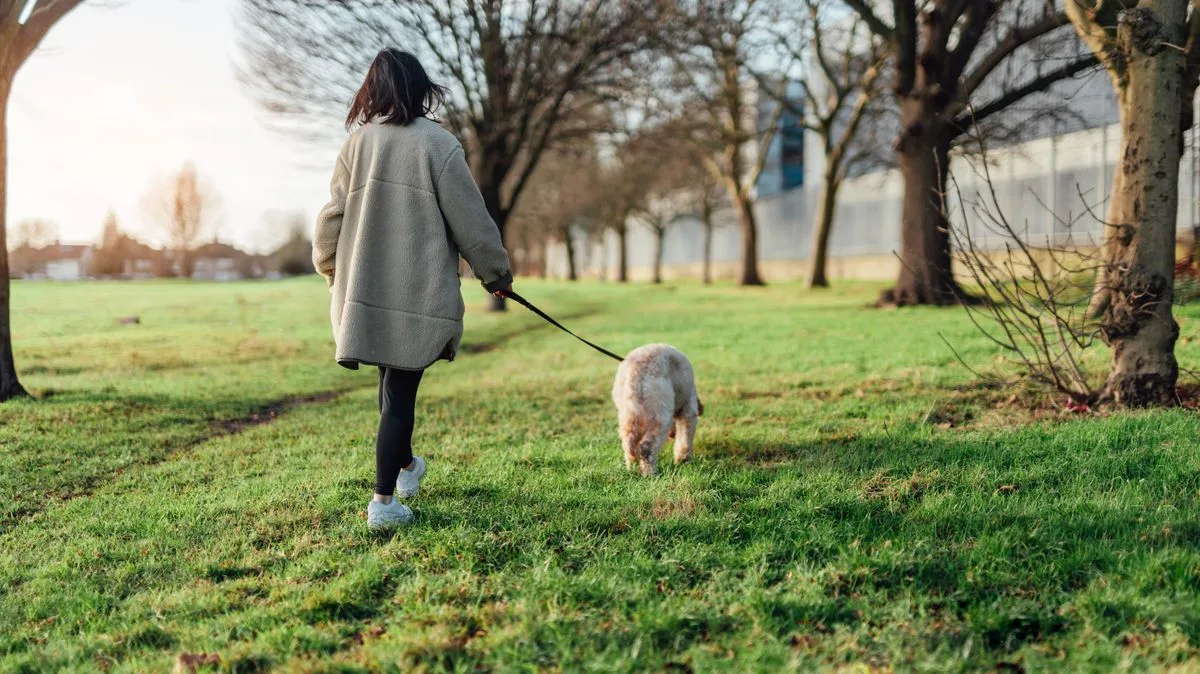 New UK Law: Dogs Can Be Seized If Suspected of Livestock Worrying