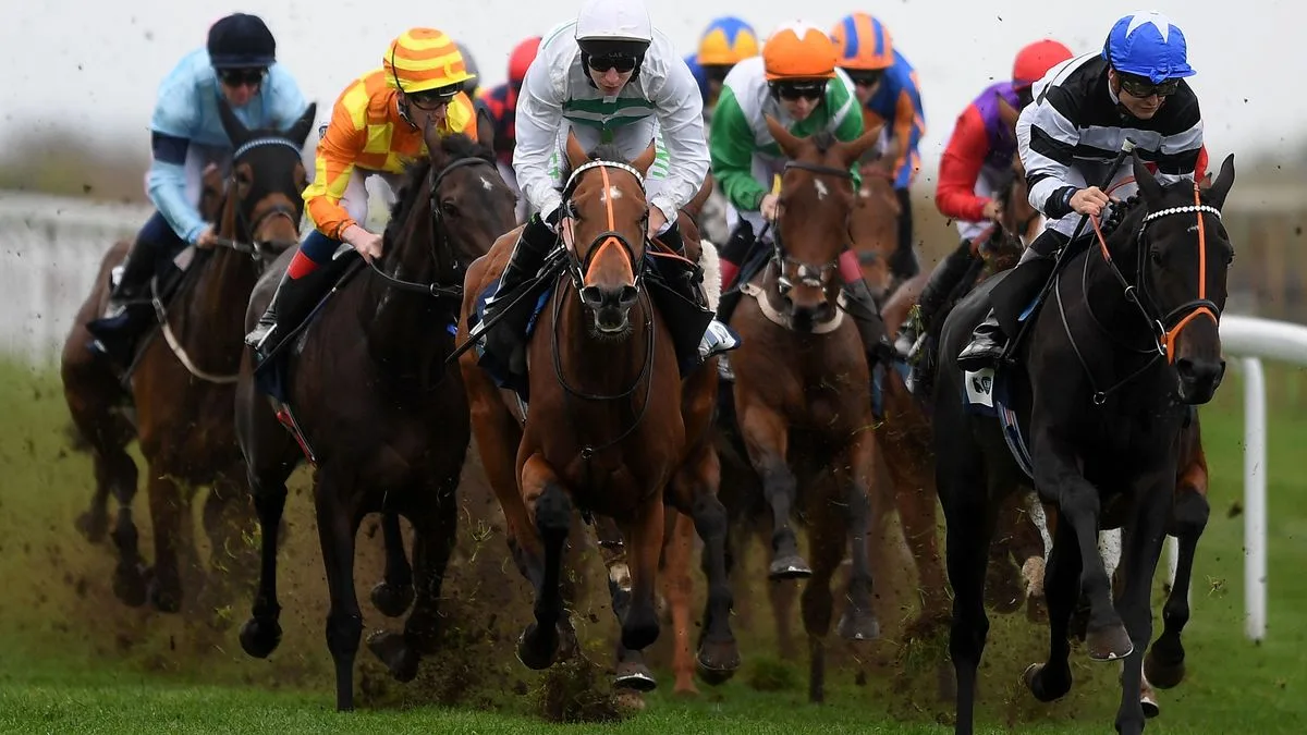 Angel Shared tipped to shine at Bath on Monday