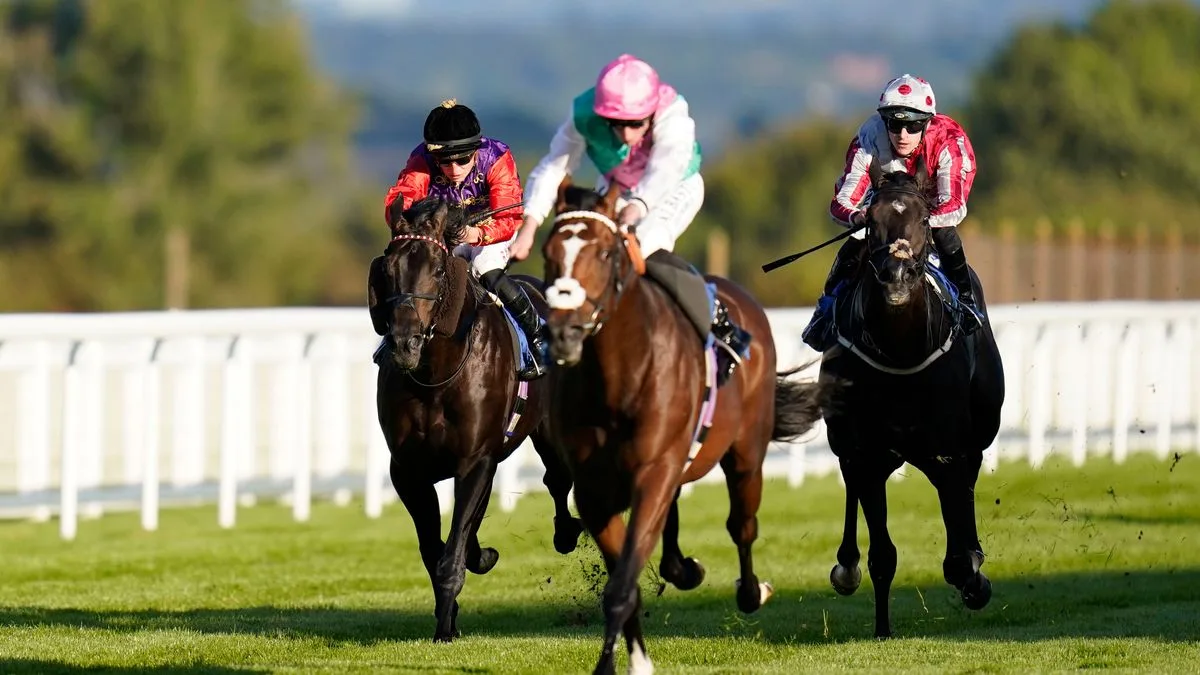Anglo Saxson and Be Here Now Lead Newsboy's Tips at Musselburgh