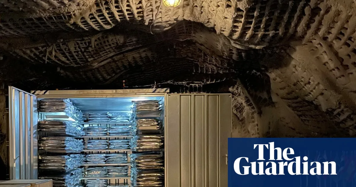 Nigeria Becomes First African Nation to Store History in Arctic Vault