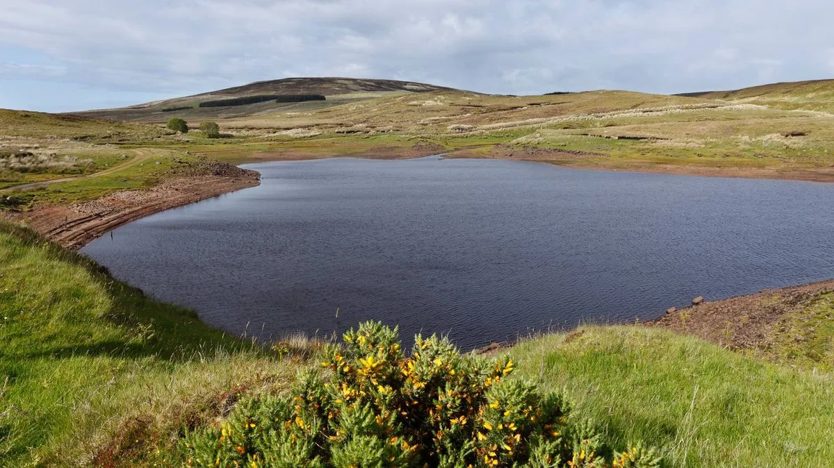Northern Ireland's Mysterious Vanishing Lake Baffles Experts