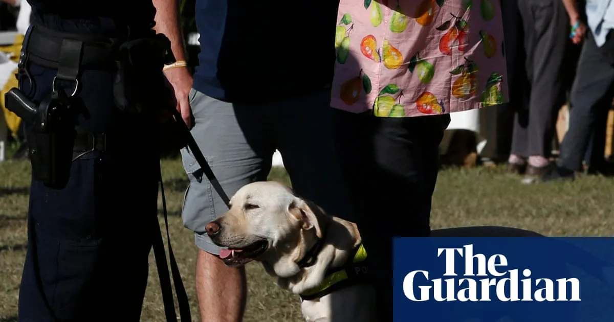 NSW Police Argue for Force in Strip Searches Appeal