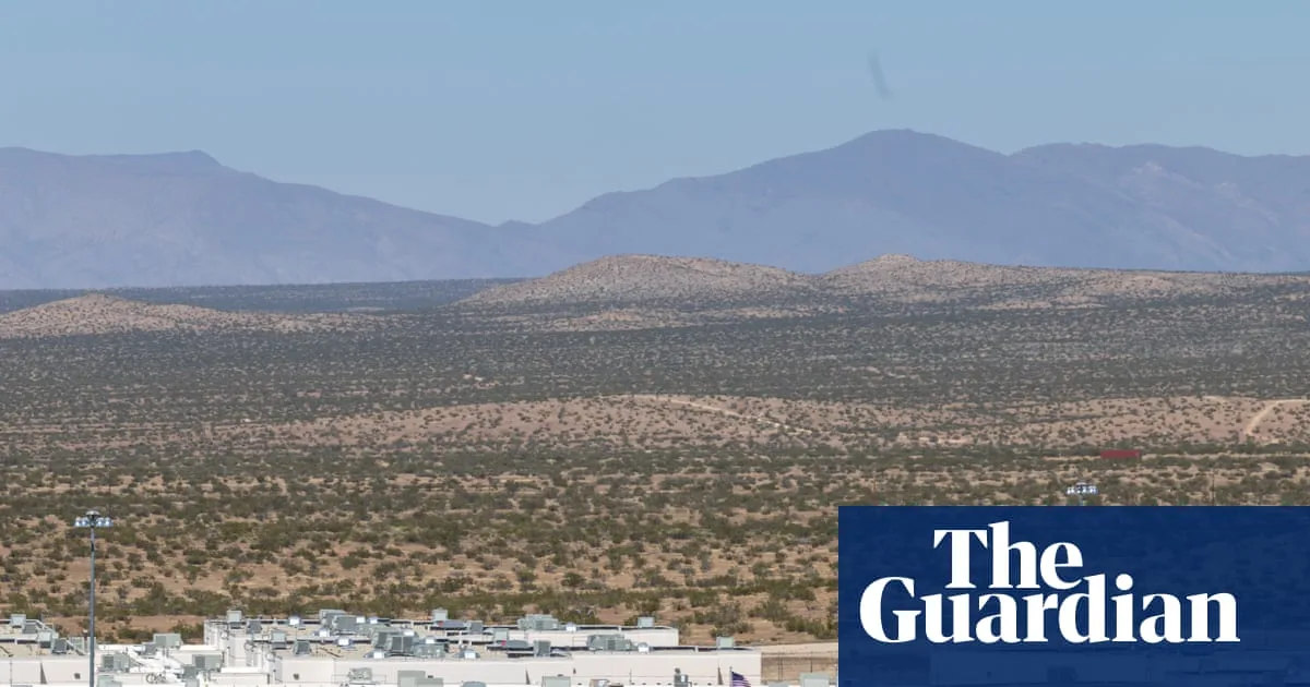 New Zealand Woman Detained by ICE Pleads for Government Help
