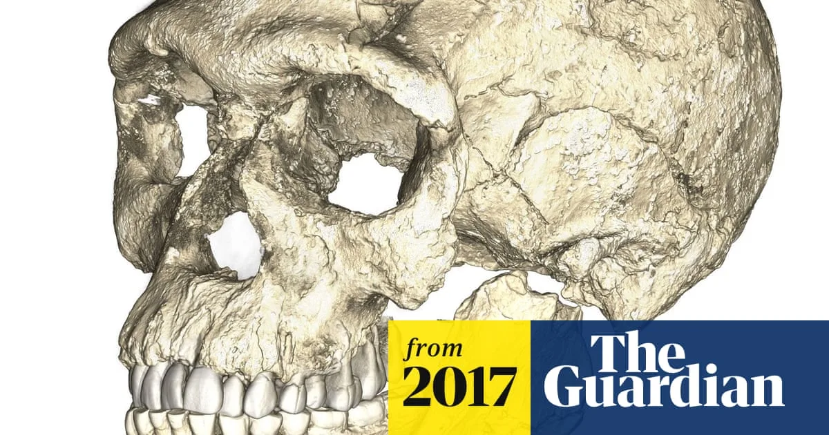300,000-Year-Old Fossils in Morocco Rewrite Human Evolution Story