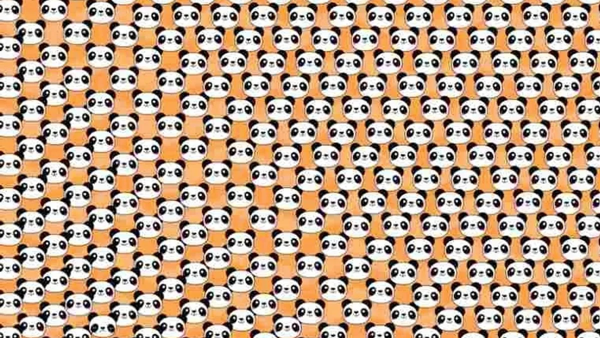Only Those with High IQ Can Spot the Sad Panda in This Tricky Illusion Within 10 Seconds